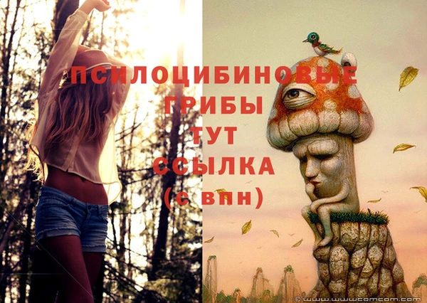 бутират Абаза